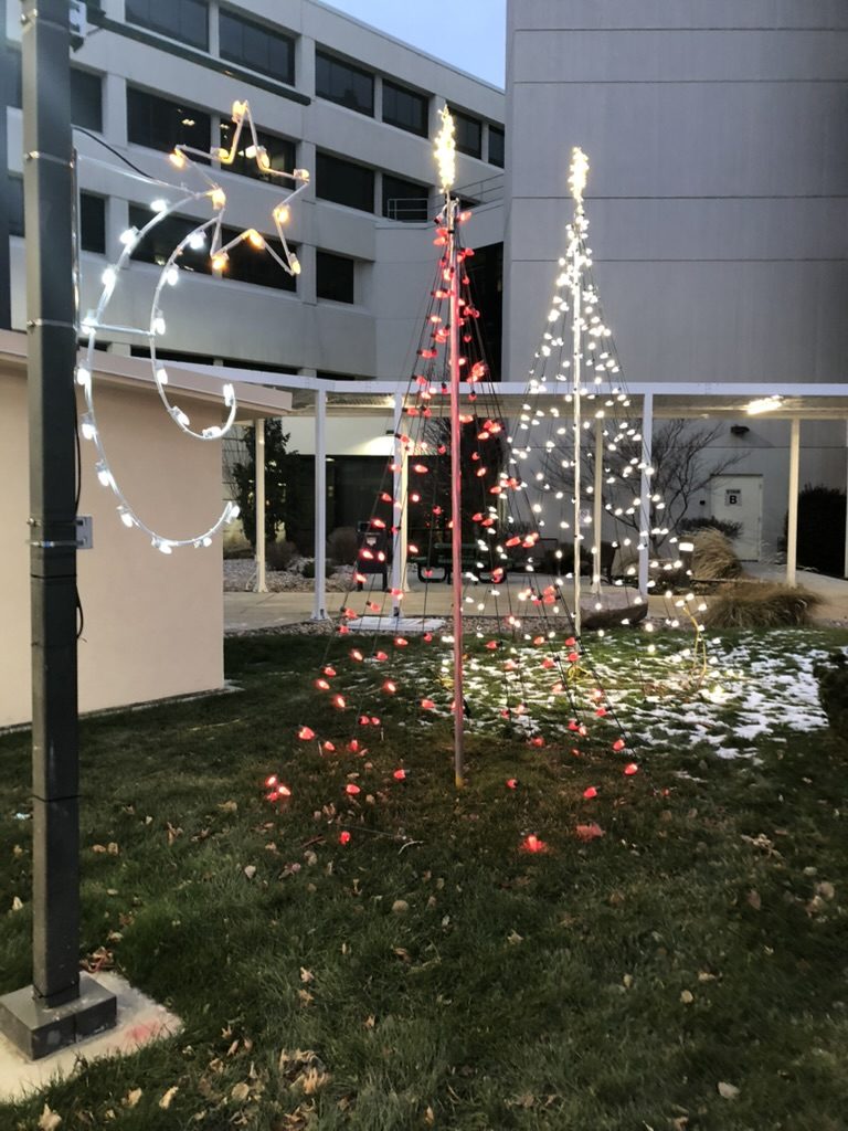 Red and white light trees and a lit star beside a building